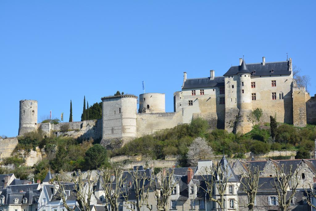 Domaine Du Heron Chinon Exterior foto